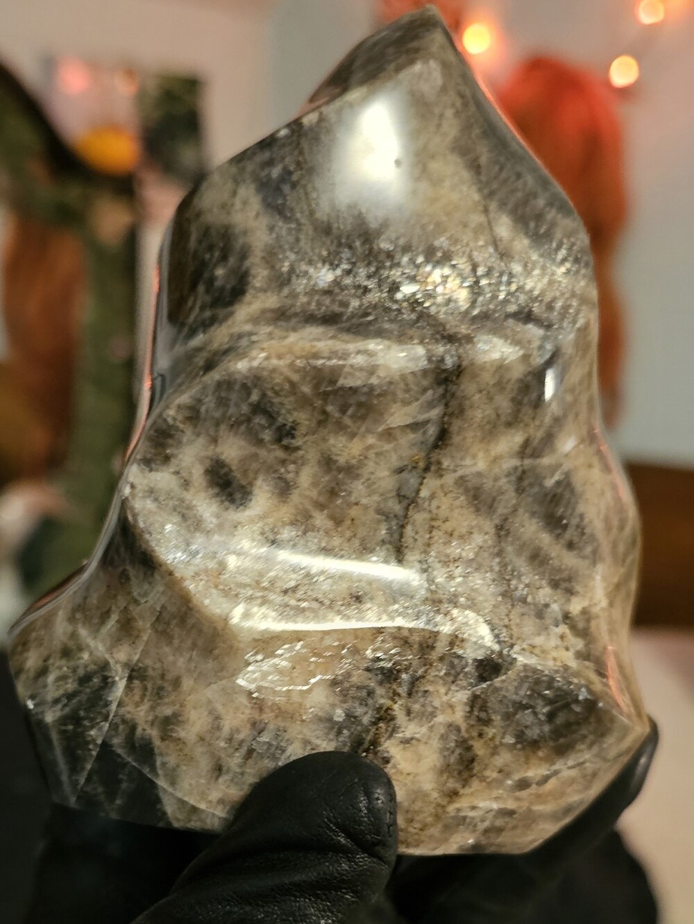 🎃OFFERS OK-GIGANTIC 3lb Chocolate Black Moonstone Statement Freeform-HG-FLASHY!